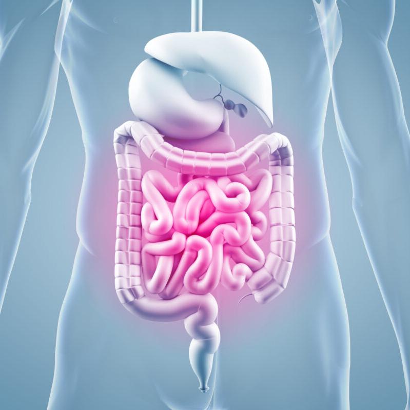 Leaky Gut Syndrome